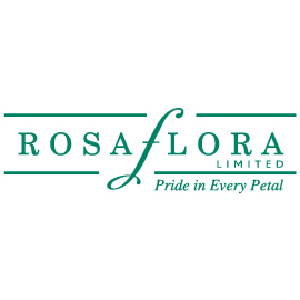 edg, edg flowers, ed dekker, celosia, Fan celosia, round celosia, flower grower ontario canada